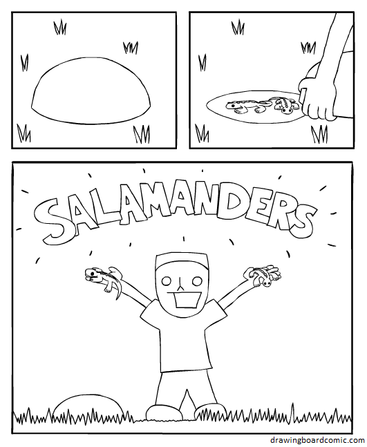 Take a salagander at these salamanders.